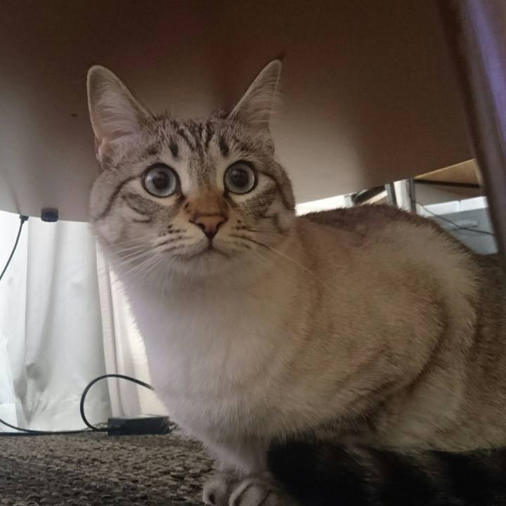 C4257f05 5d93 441b 89fd 7add2200e8db