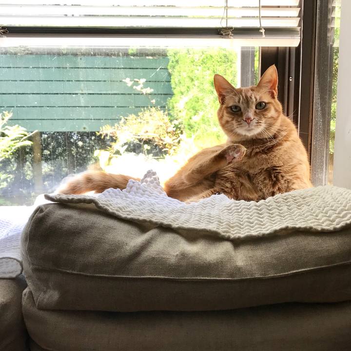 C425c245 4771 469e b1c3 32bb4622be7c