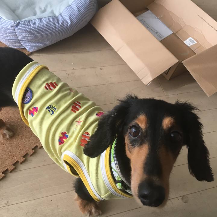 C4261e99 0642 41a1 bf3c f4d0071842ae