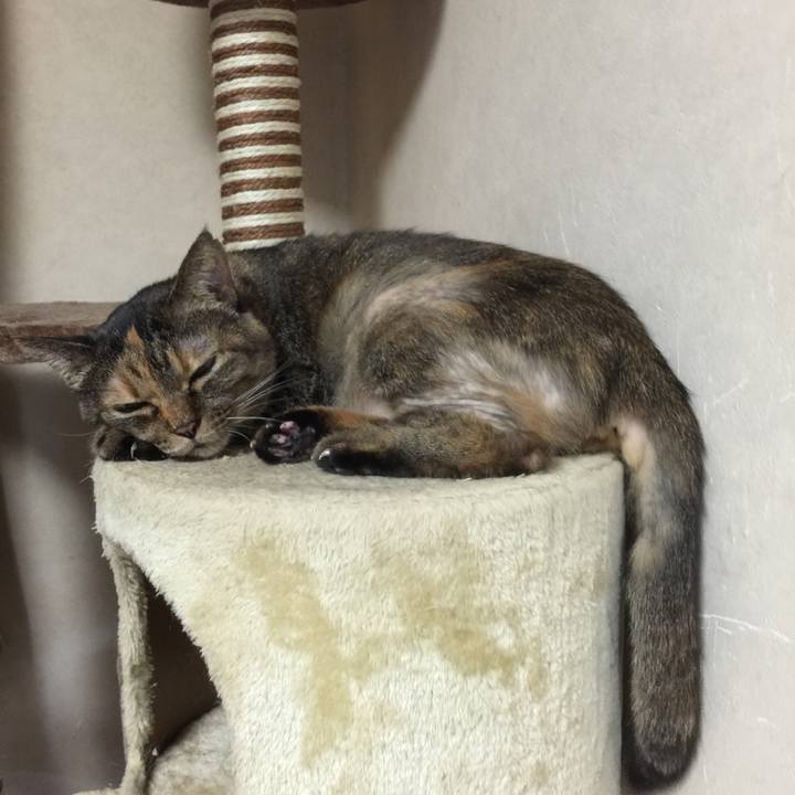 C426428c aecc 4e69 8399 d4f74c254471