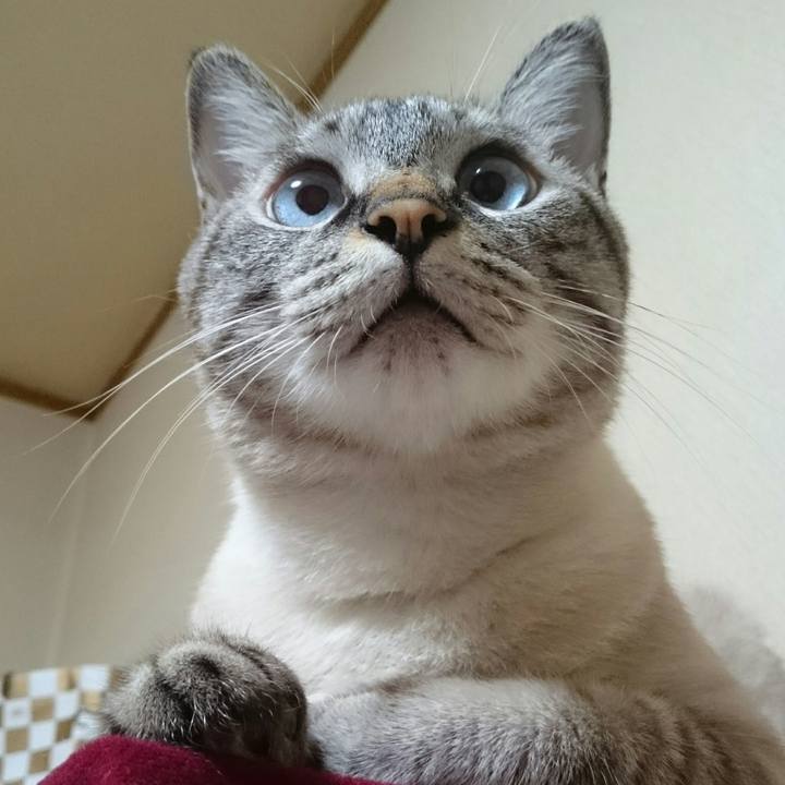 C4266b33 9bf0 47d7 8bc4 ffd987a46bed