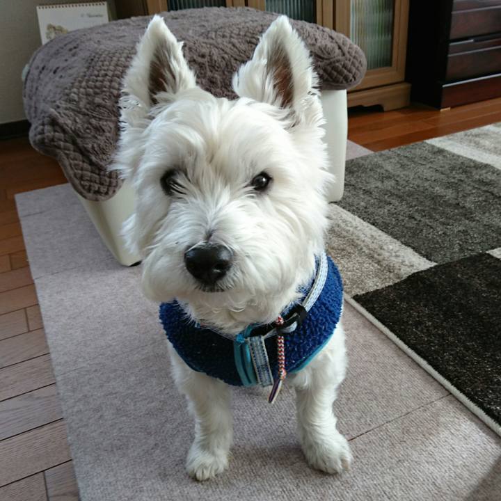 C42675ed 657a 438b 9377 5e209de07ad3