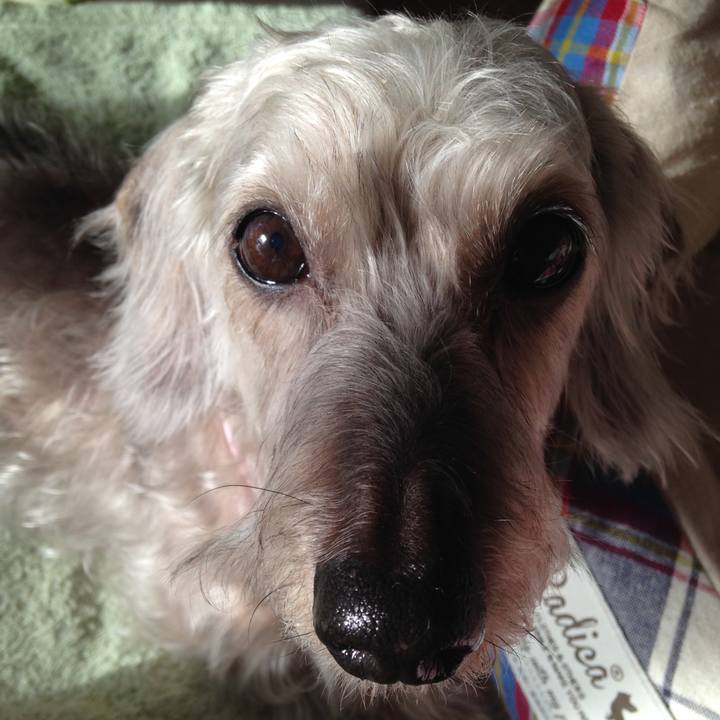 C42676fc 5596 4f82 bf5e 02a0d79db7ae