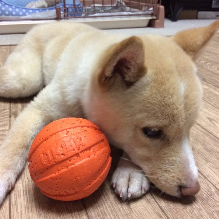 C427e177 bc14 4654 adf4 e590c1152665