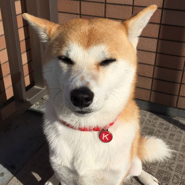 C428676d c0c8 4ff0 94fe 76663e8e7101