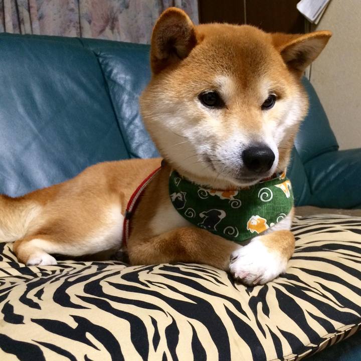 C428685f bbd7 4d06 a643 8bd187c825a4