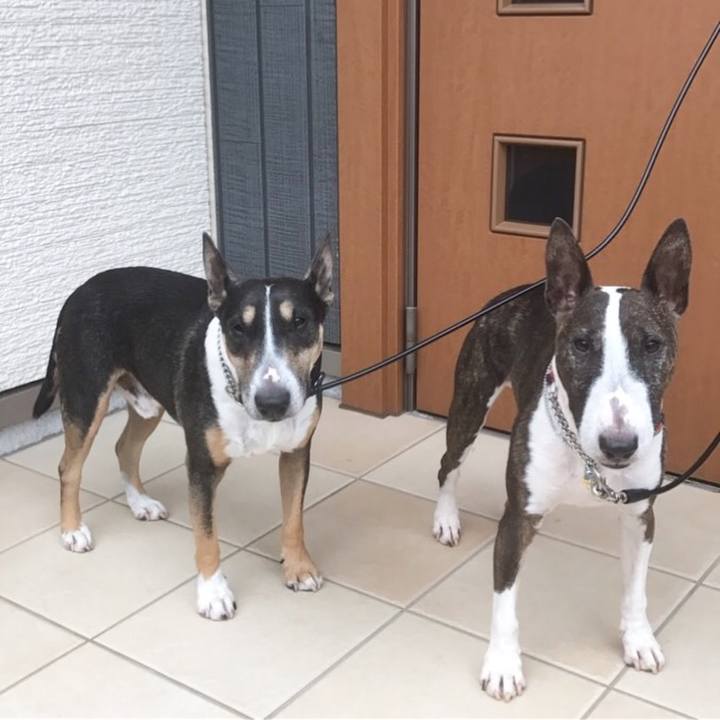 C428726b 357b 4d28 ae8d 13360527c8c2