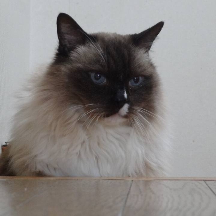 C428c4f5 eb19 4640 8b31 63409d14c0c6