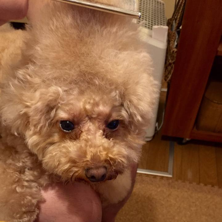 C429604f 956c 4166 9bae 981b06f62fc7