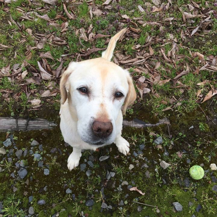 C429800f c93a 4ae1 ba85 cef48248b1fa