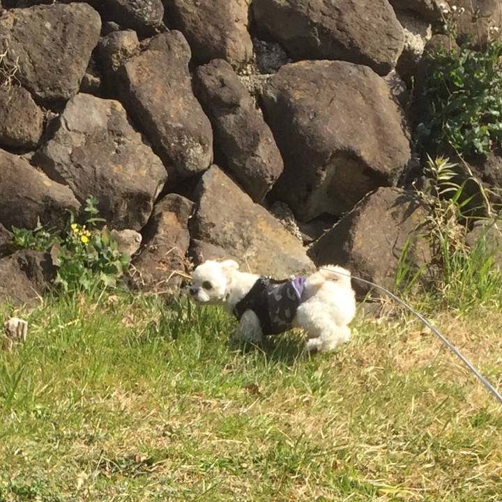 C4298019 5e16 4cab bf34 089e708f4dee