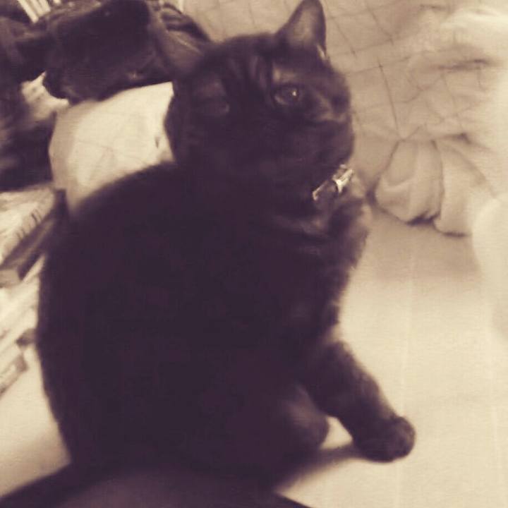 C429be6c 8132 4fd0 8b07 7c935f2ab4f4