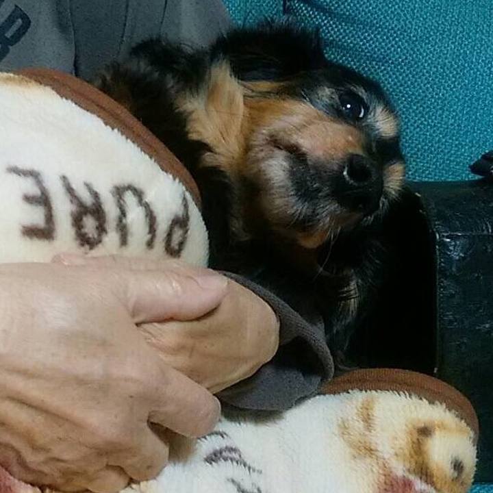 C42adc0b 8243 4794 be6e b17d87c0f6b2