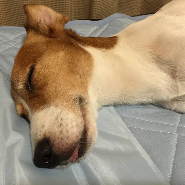 C42aef47 bc74 4011 9cf7 c6f75e5d7f70