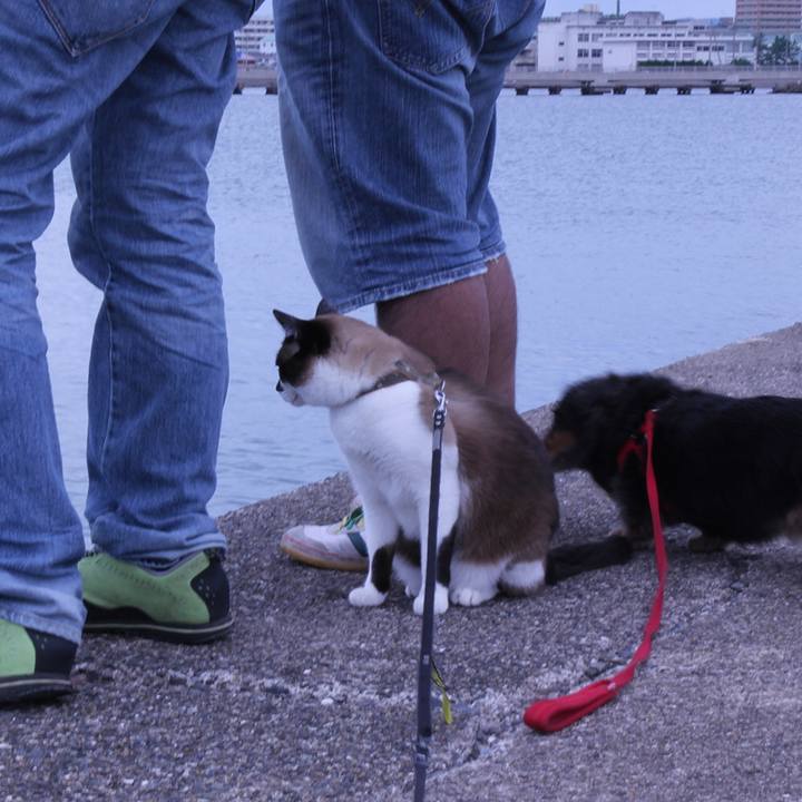 C42aefe2 41d2 4aff 904a da33857cd60b