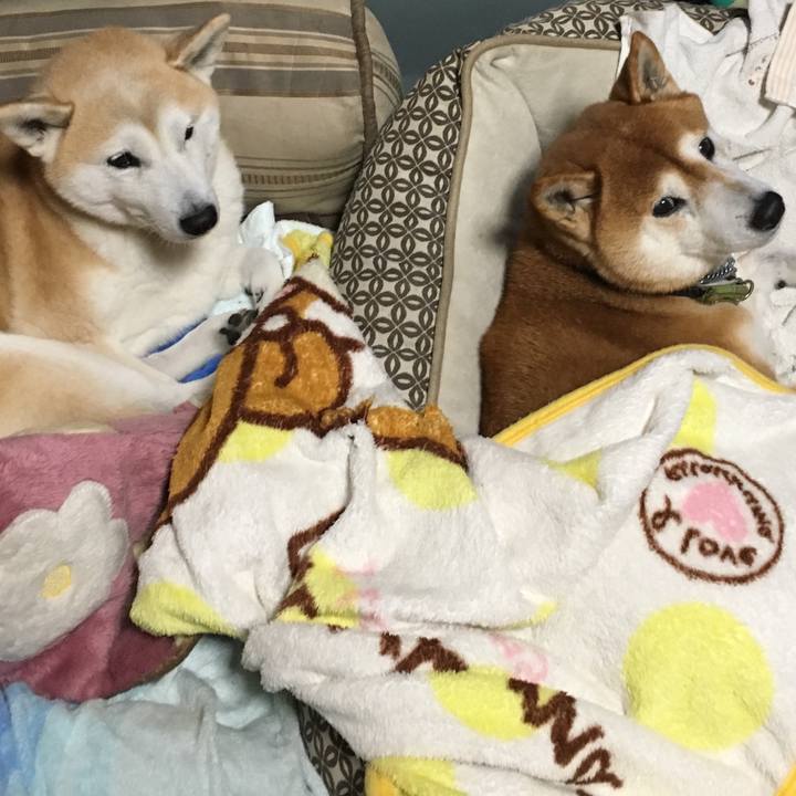 C42b07da 4328 4023 b8d0 5038f1fdac48