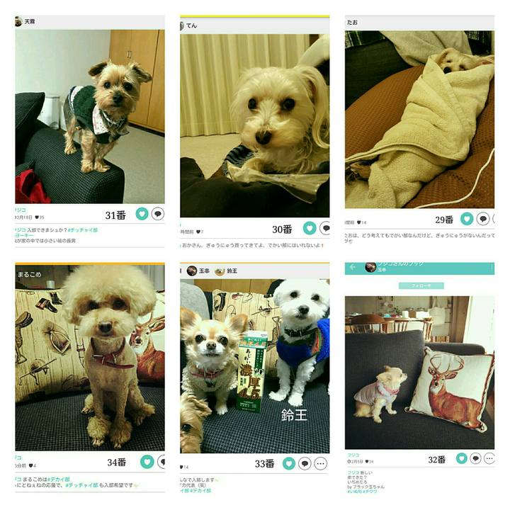 C42b4603 04cd 4df1 a2a7 87bcaa6dfcbb