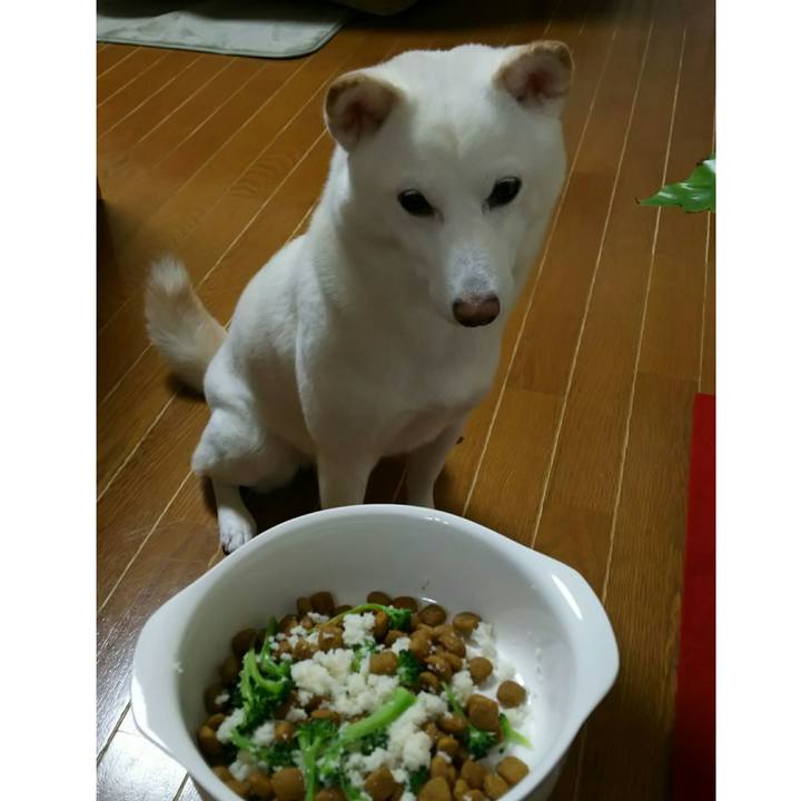 C42bcb30 af07 4bf1 97f3 f043bc08c4a8