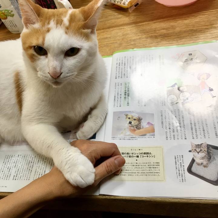 C42bdf28 eeed 486d 8a19 b6bfbdc94981