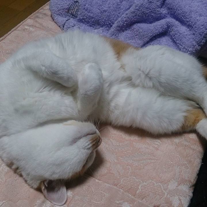 C42c08df fa88 426e 846f 4ce56f4787f6