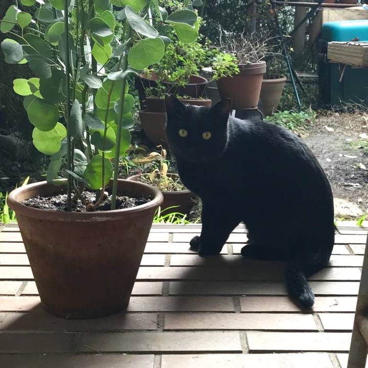 C42c0fd8 f85c 4fc5 9928 b93dcadea985