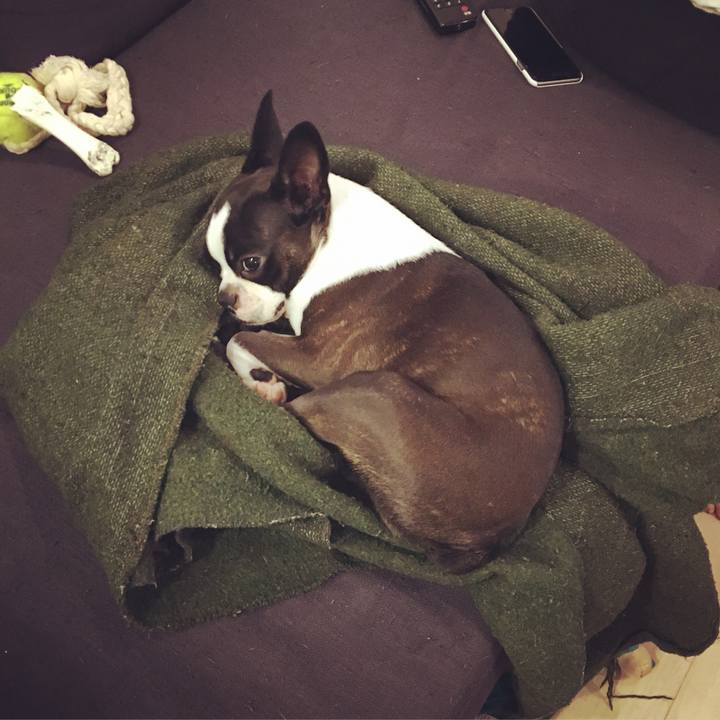 C42d34f8 4e05 4af1 90cb 0f0fd282191c