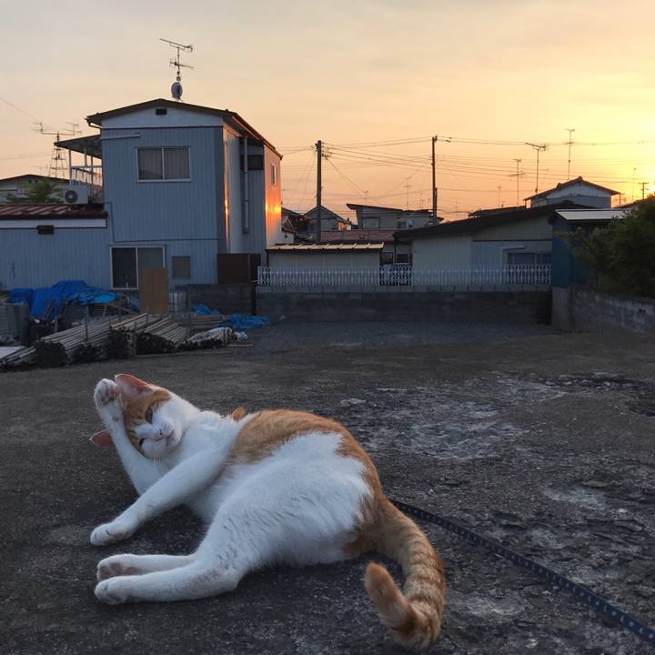 C42d6e47 739e 46c0 891d b927737b90bd