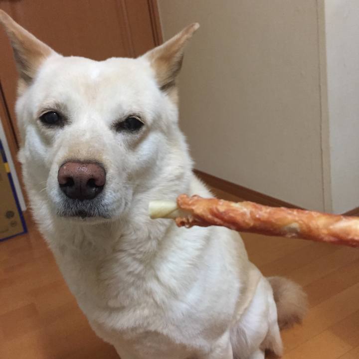 C42df94a d6ac 409d b736 22831acc99de