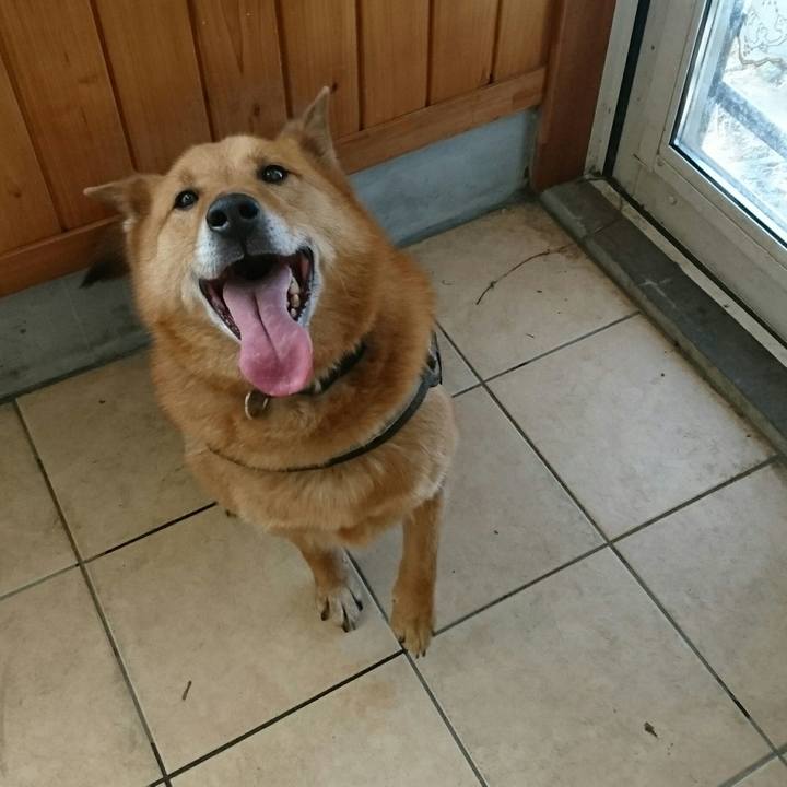 C42ec4d9 a3ec 4828 bf23 b2930d6b28ea