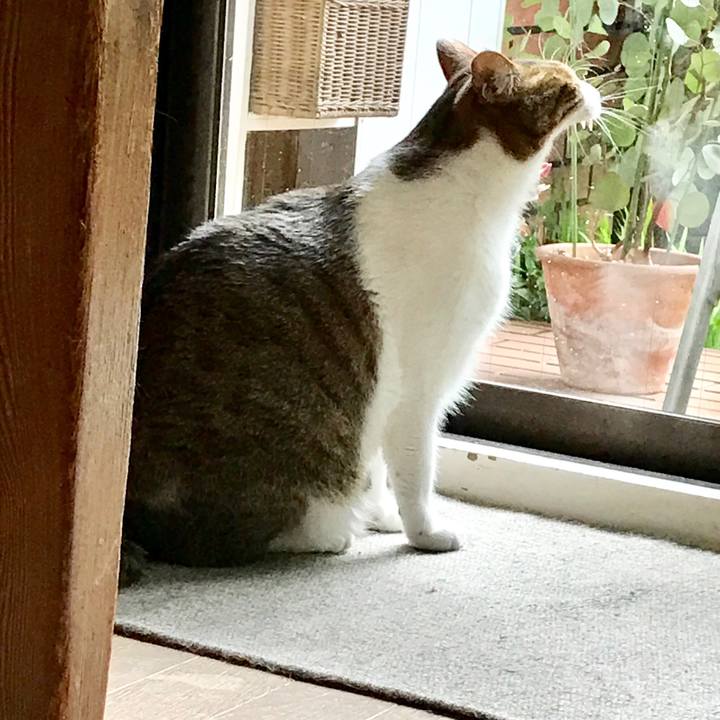 C42ede62 56af 4380 90e8 9dcb6df65167