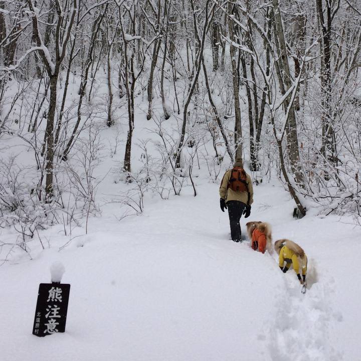 C42ee3ce 3d9a 4095 af02 d281a03da201