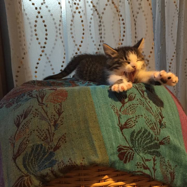 C42f4d22 6e93 4b00 9fb4 a7ab57cf2746