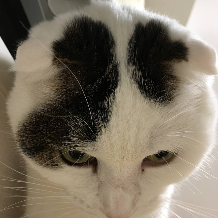 C42ffe6a 67b9 4a8e aa0e f8f2eaf7a3c5