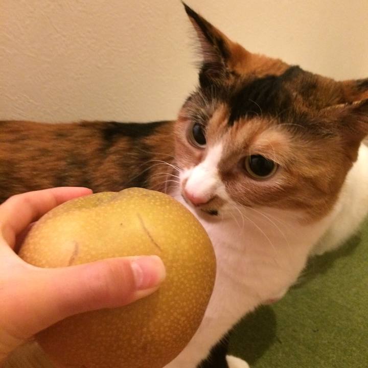 C42ffee2 8d84 4f29 b5c3 ae014a5cfb44