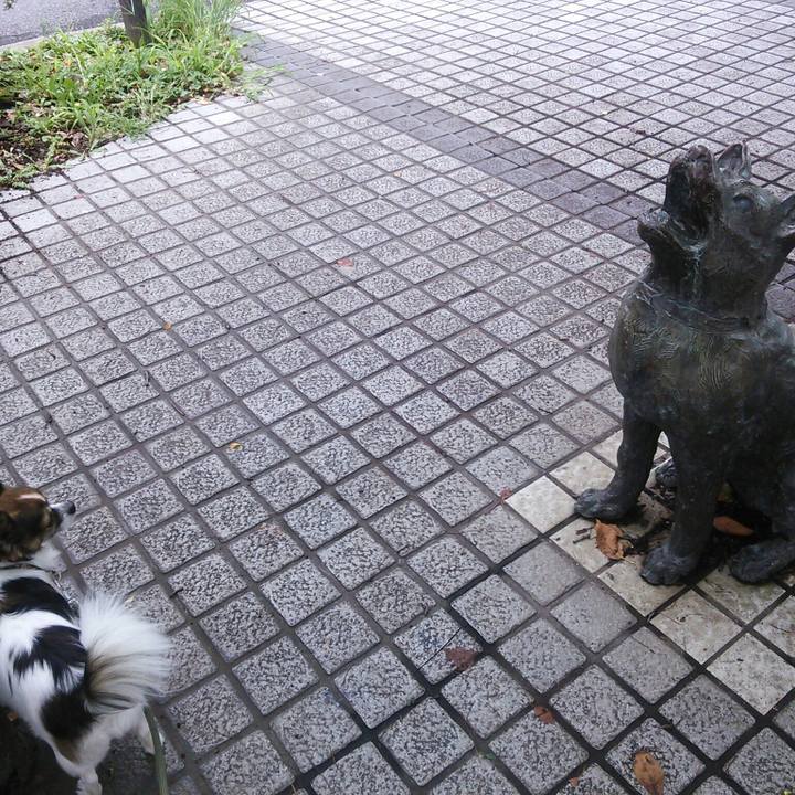 C430fa77 7665 4922 b127 d619fde4bc4f