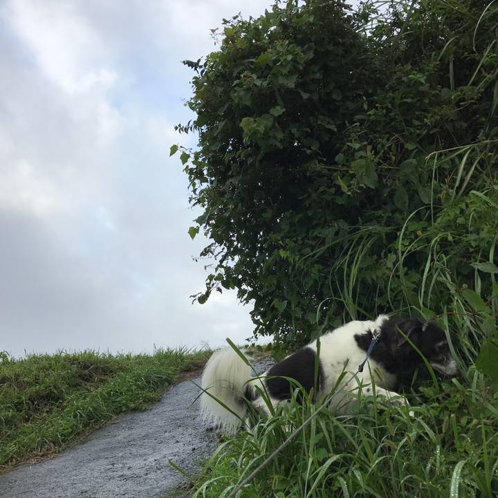 C4310412 9bfd 4094 96c0 5cae1492620a