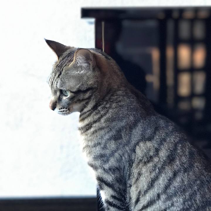 C4313338 2e12 4f95 9693 d8e5b6d1d64c