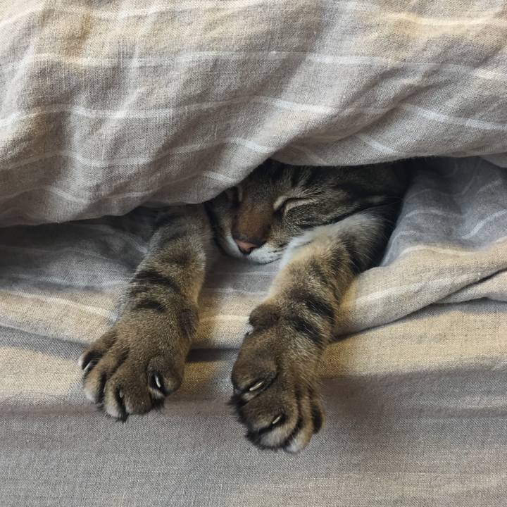 C4314f52 29bc 4979 9262 58a0c564e3d7