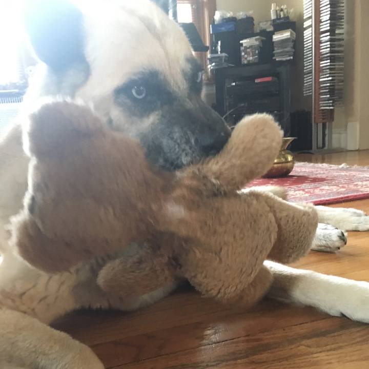 C431a27a 62c8 4633 8110 32f124a5eb08