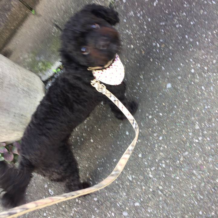 C431b668 6786 4223 aae8 c71c7f07c745