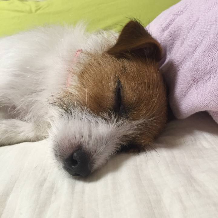 C4326f12 0414 4090 af77 9432da189f1d