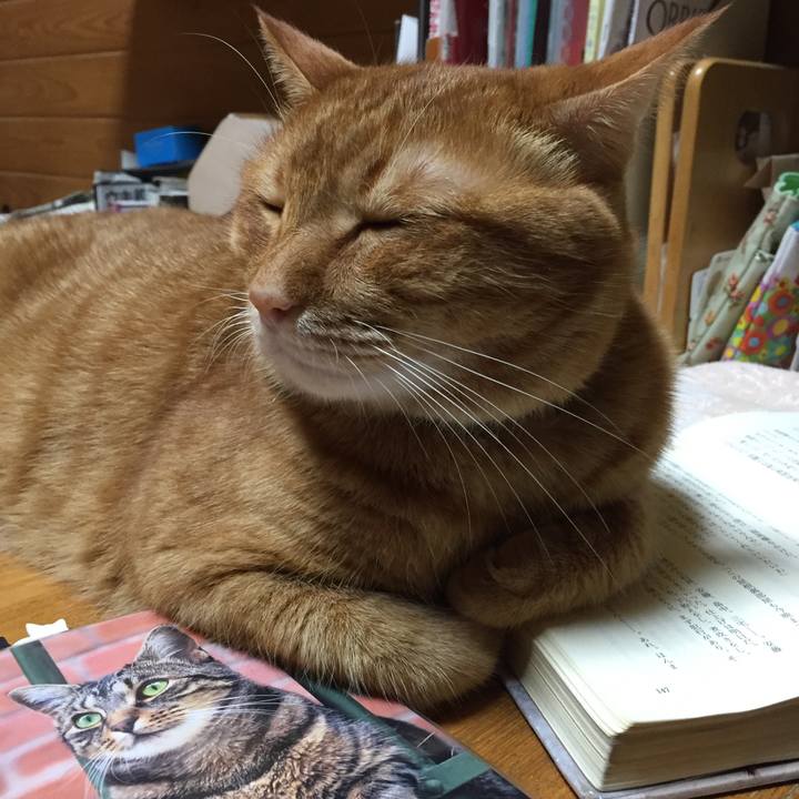 C4329bf6 3934 4037 944a 9fc95023a292