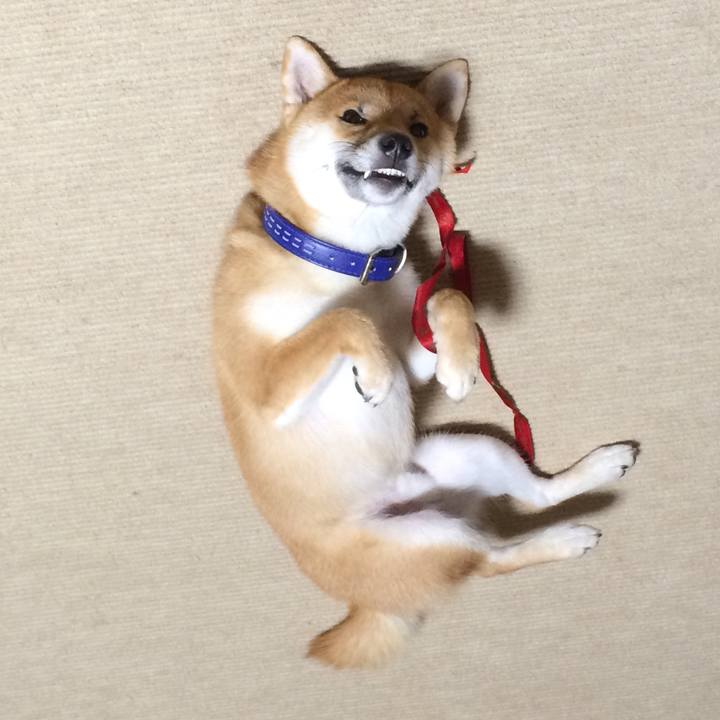 C432d6c0 07cd 441e 833b 9e9913a79a4e