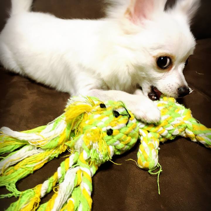 C433531b d30d 406e b3ab 2f4dbde2f2cc