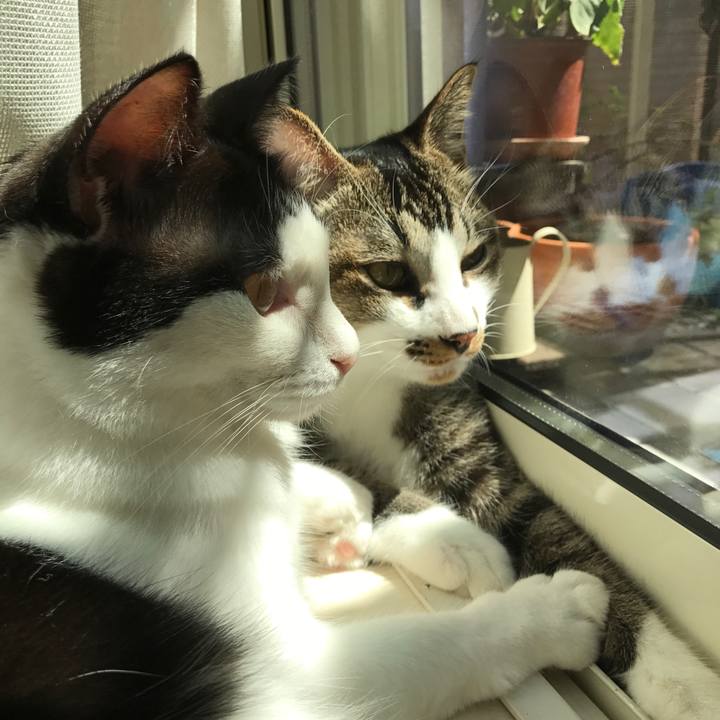 C434b6d0 060e 4024 a5e6 67b510d11fb2