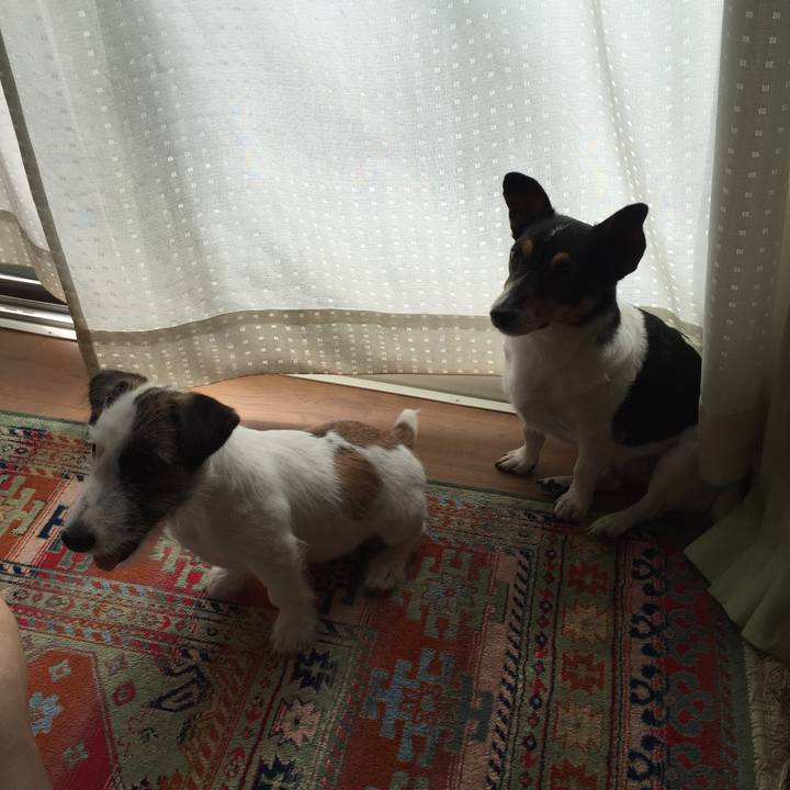 C434f6ab 763a 42fc 9547 3639850db6f0