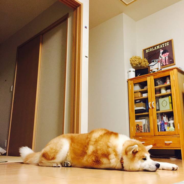 C43534cb ae65 4596 a43f 9480427e63b1