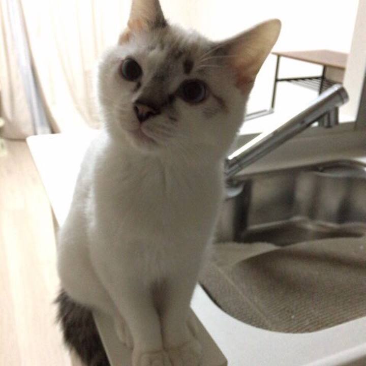 C4353747 9ee9 47ff 84f3 73338b34bf52