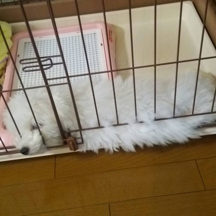 C435881f e117 404a 9b22 ca40e6045ba1