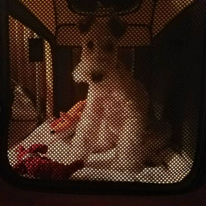 C435b231 f4da 43a9 a994 053a6cebf17c